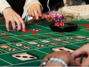 森林舞会电玩城2024最新版